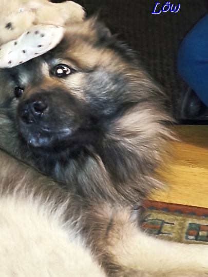 20.4.2025 - He, was soll das?